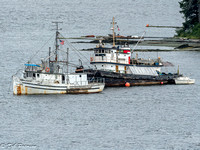 Boats, boats, boats