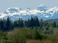 Comox Valley