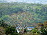 Panama Canal