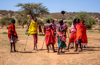 Samburu Tribe