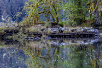Reflections