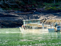 Fisherman bringing in the net