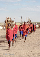 Masai Men